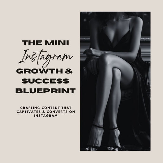 The Mini Instagram Growth & Success Blueprint